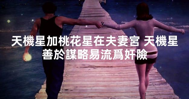 天機星加桃花星在夫妻宮 天機星善於謀略易流爲奸險